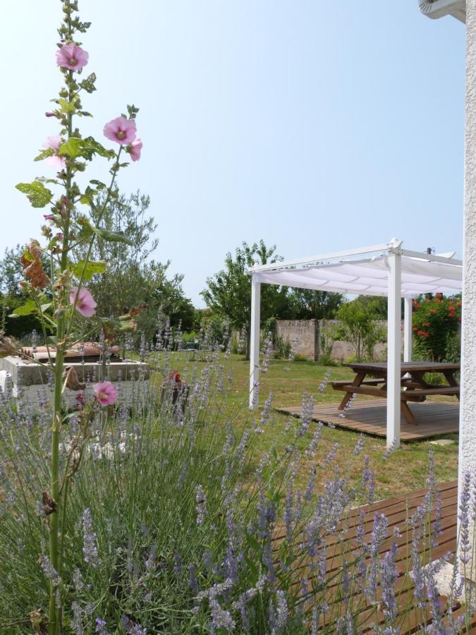 Gite Le Cherche Midi Gaillac Luaran gambar